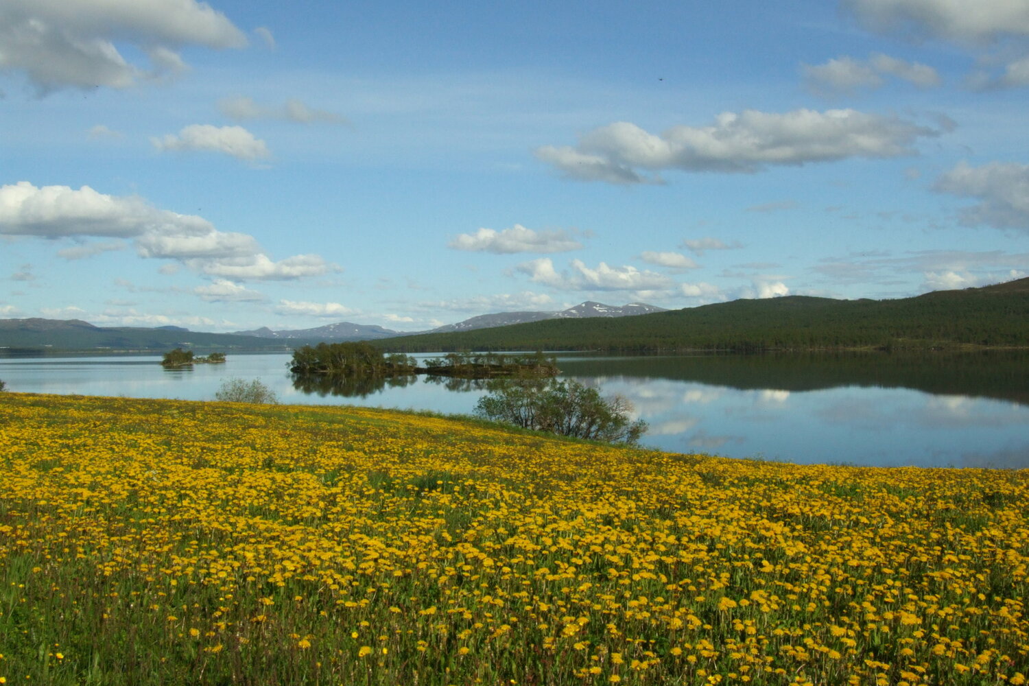 Glåmos