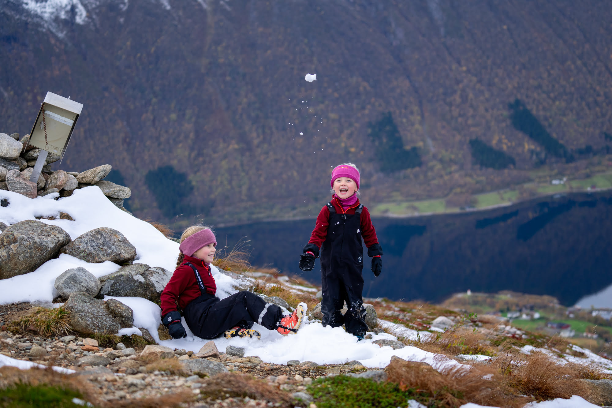 Tomrefjord