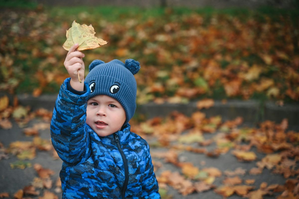 Autumn Equinox – Goodbye, Sweet Norwegian Summer! | Freysta
