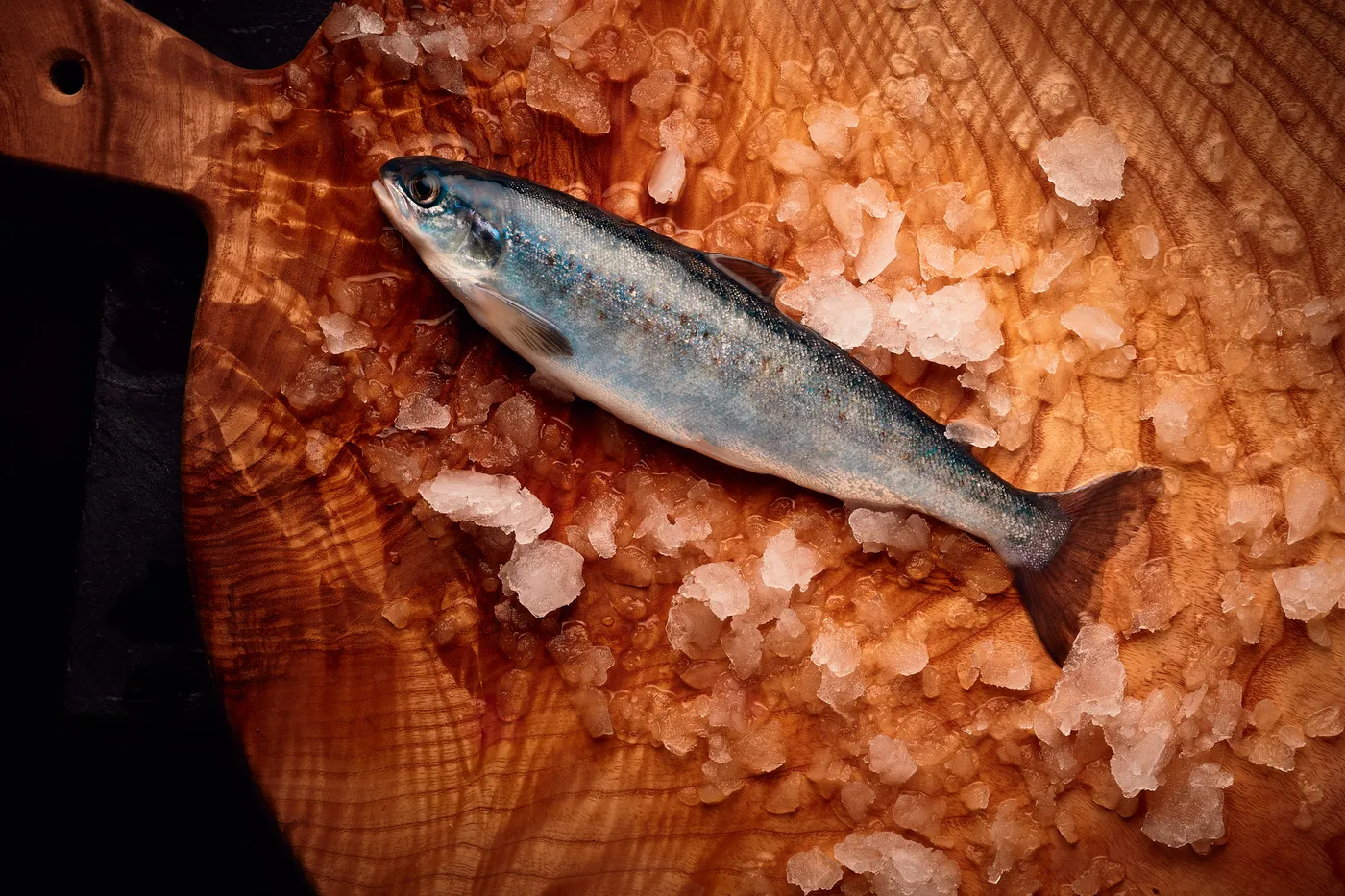 A bleke salmon on a wooden board with crushed ice, showcasing its distinctive silvery scales