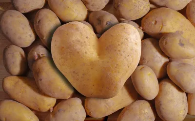 Norwegian potato traditions