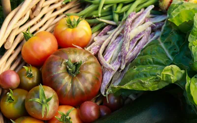 Fresh Norwegian vegetables and produce