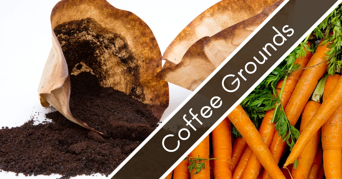 Section banner for Coffee Grounds fertilizer: used coffee grounds spilling from a filter paired with fresh carrots