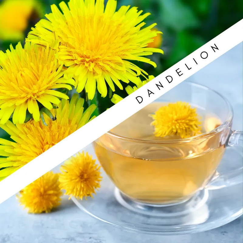 Dandelion plant alongside a prepared dandelion dish