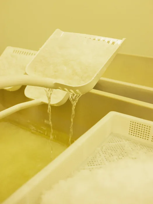Salt production trays inside the Havsnø facility showing crystallizing sea salt