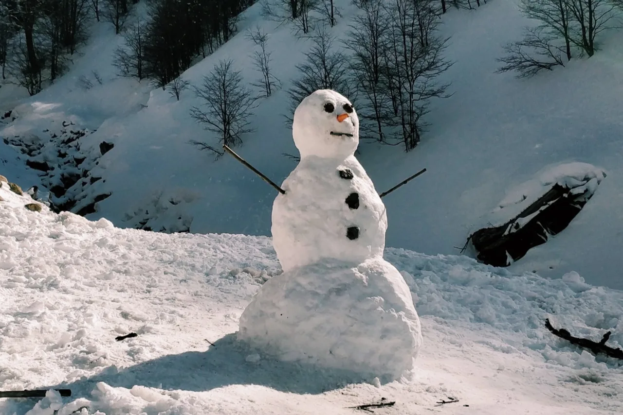 A cheerful snowman built with packing snow, standing in a winter landscape