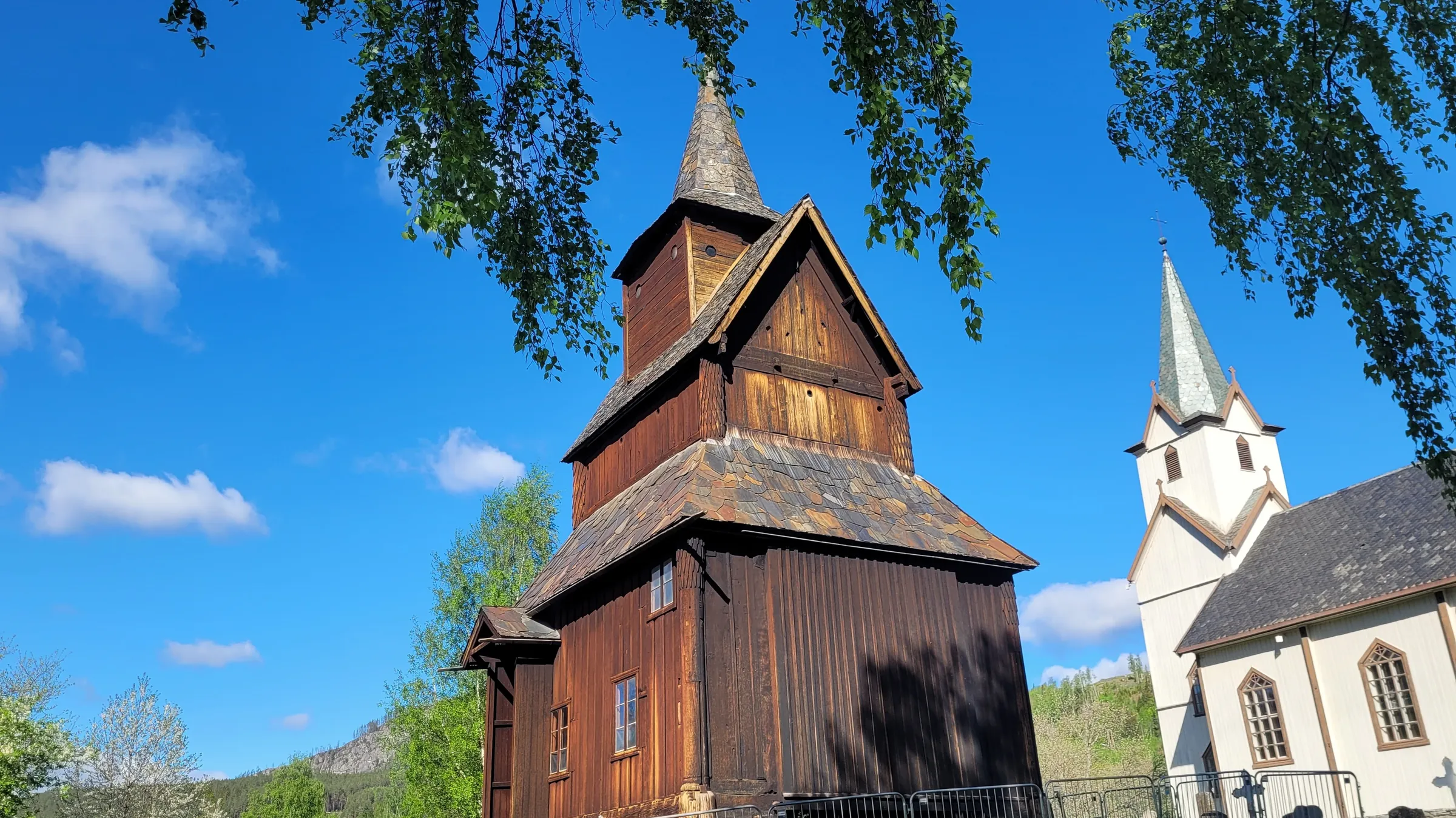Torpo Stave Church in summer light, framed by birch branches, with the white 1880 parish church standing beside it in Hallingdal