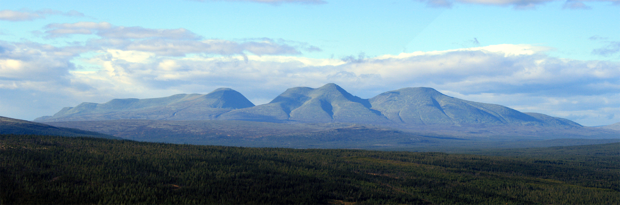 Sølen, Innlandet’s highest peak, seen from a forest ridge in Rendalen