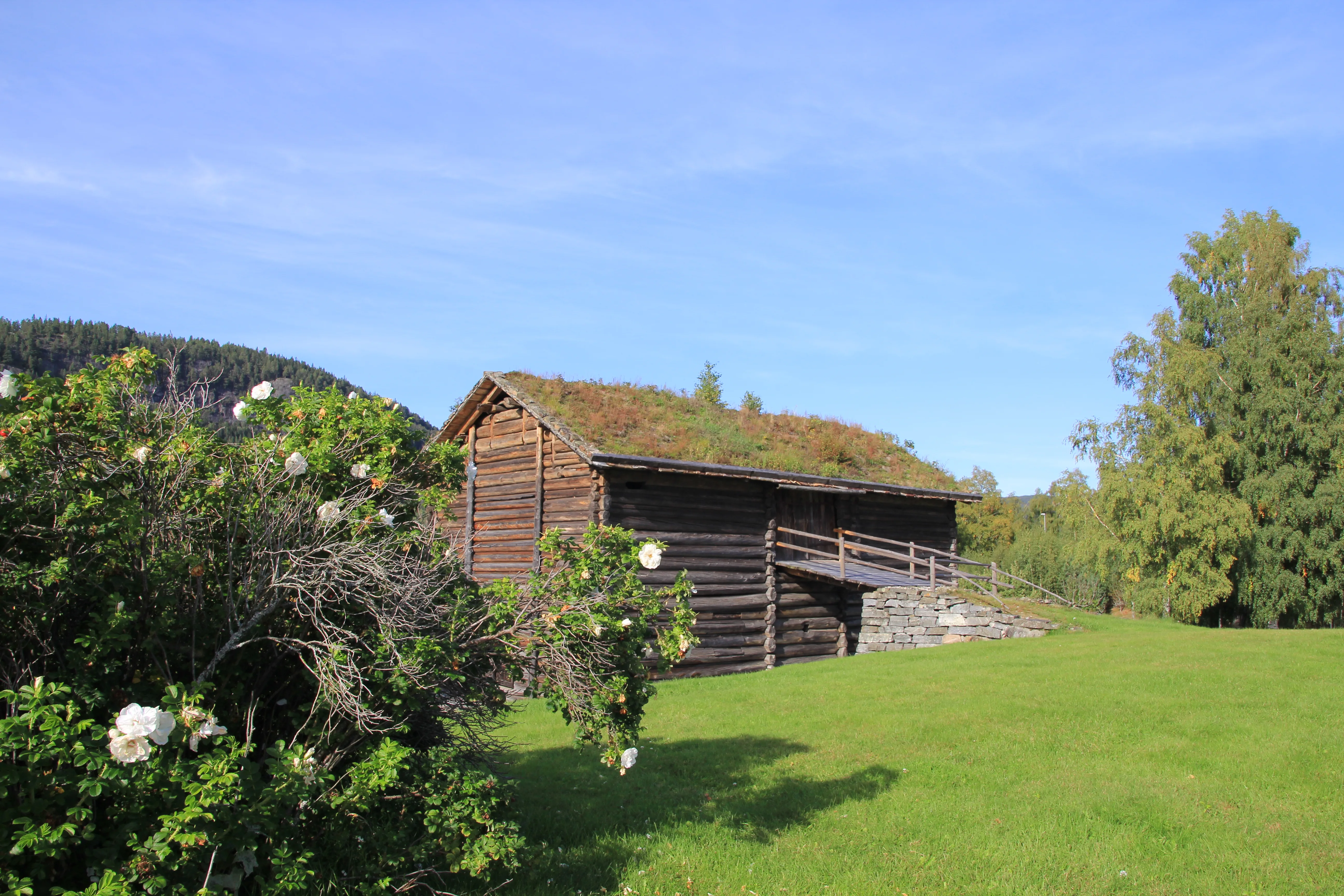 Sandy beach at Byglandsfjorden