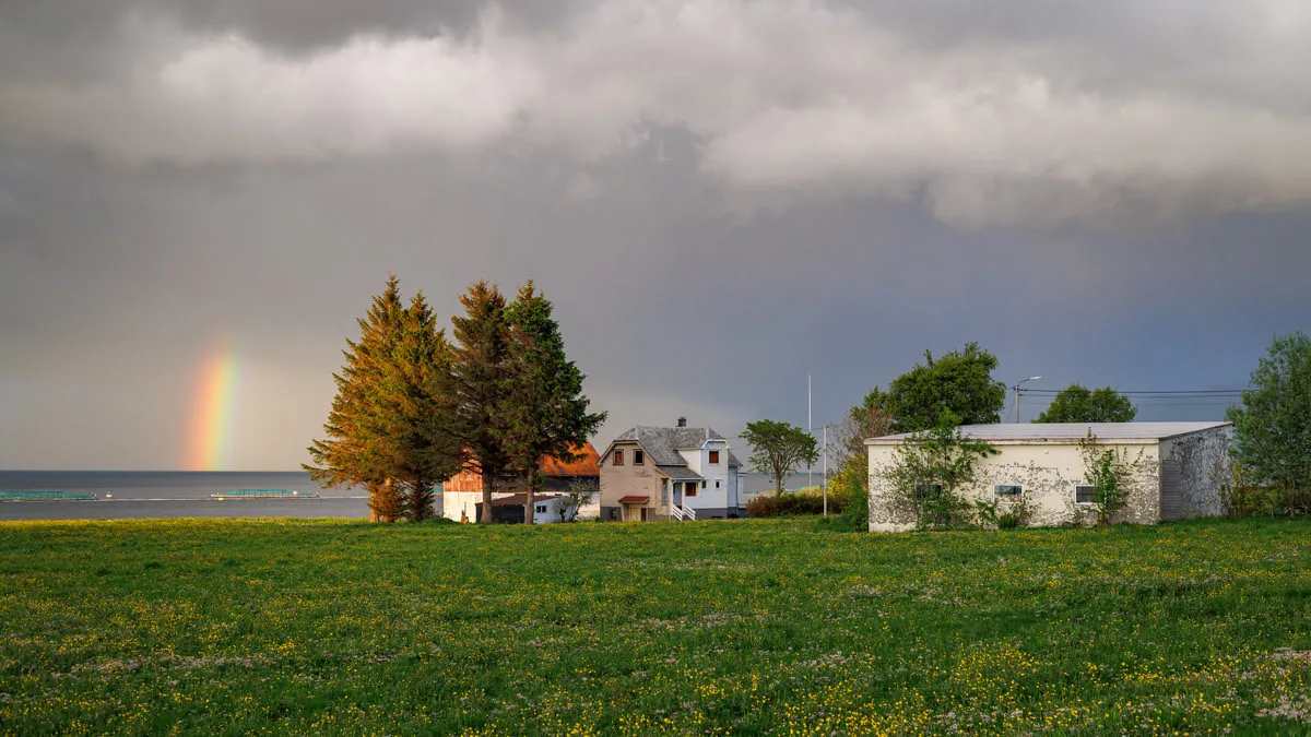 Flemsøya winter