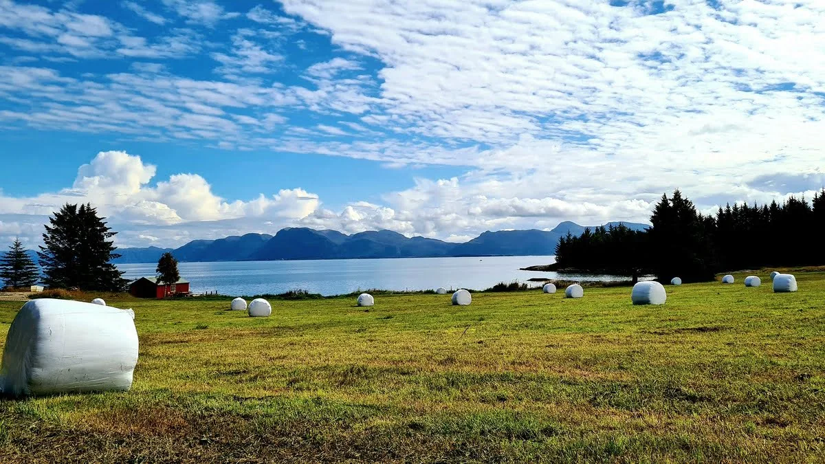 Waterfront view