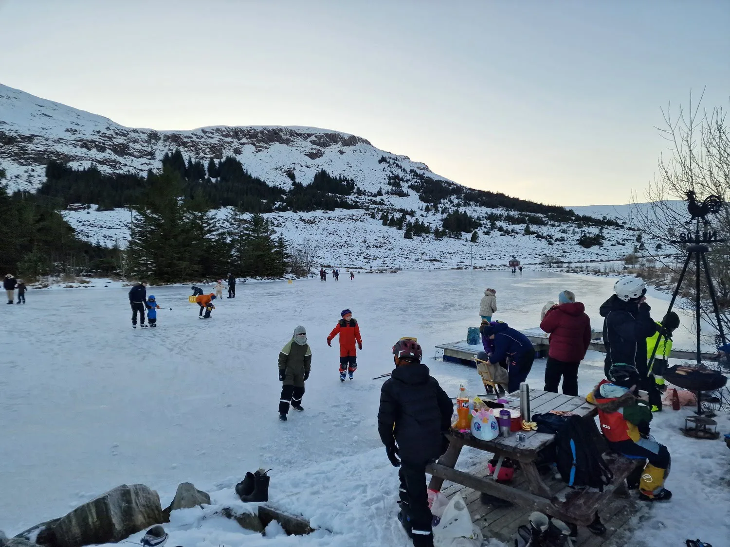Children and adults skating on a lake