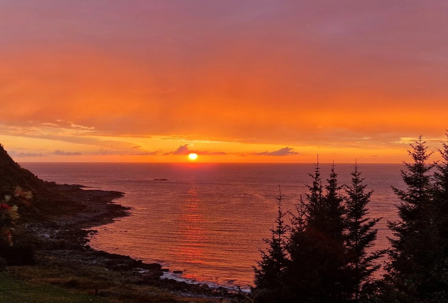 Lepsøya morning