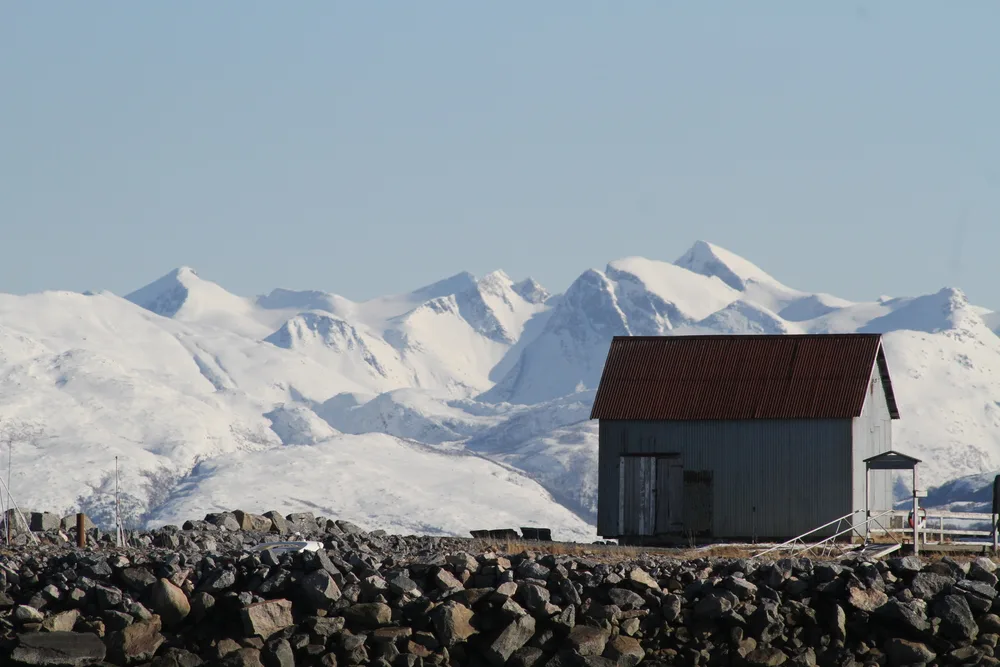 Horn in April