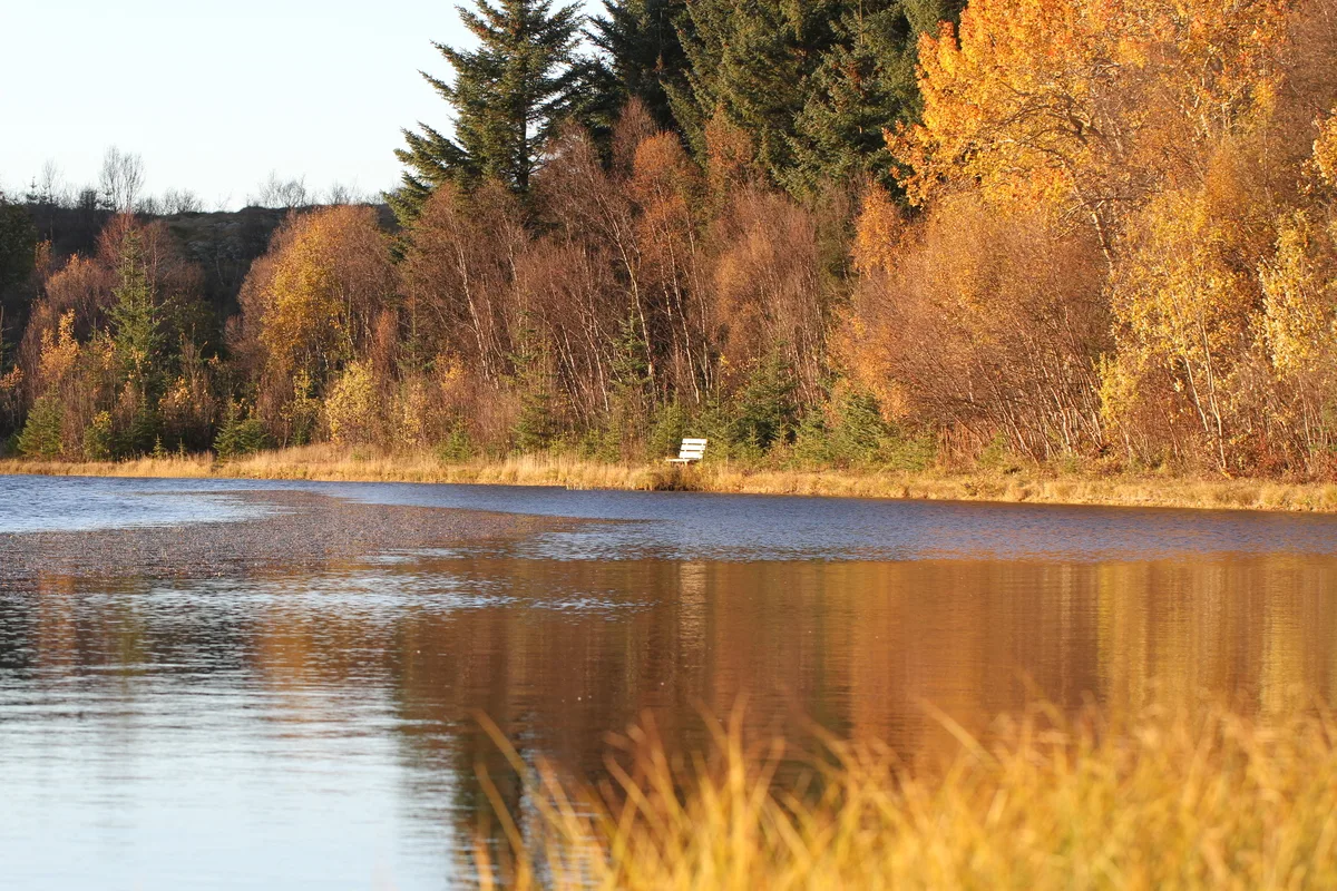Løkta scenery