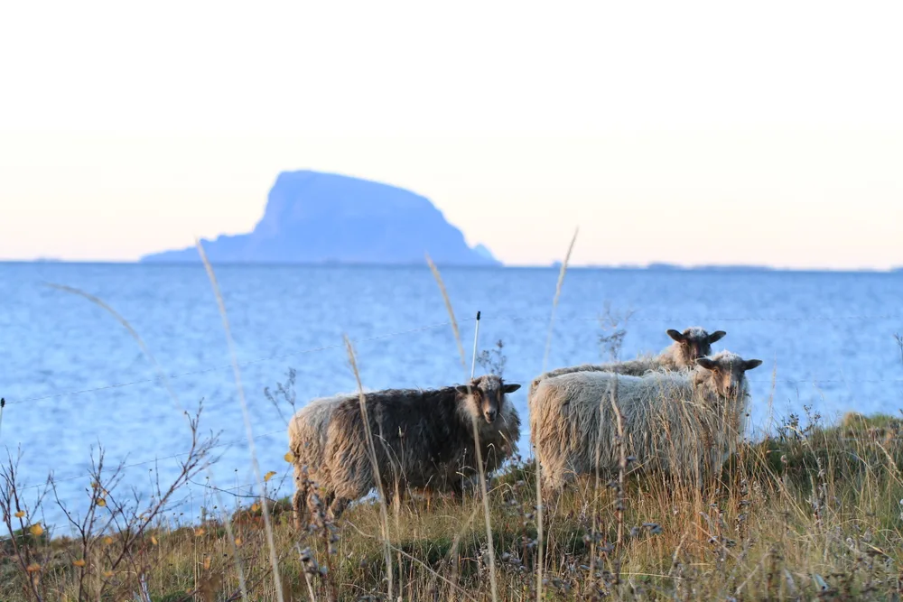 Løkta scenery