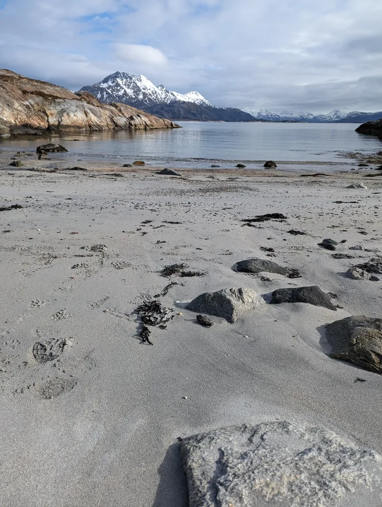 Spring at Løkta