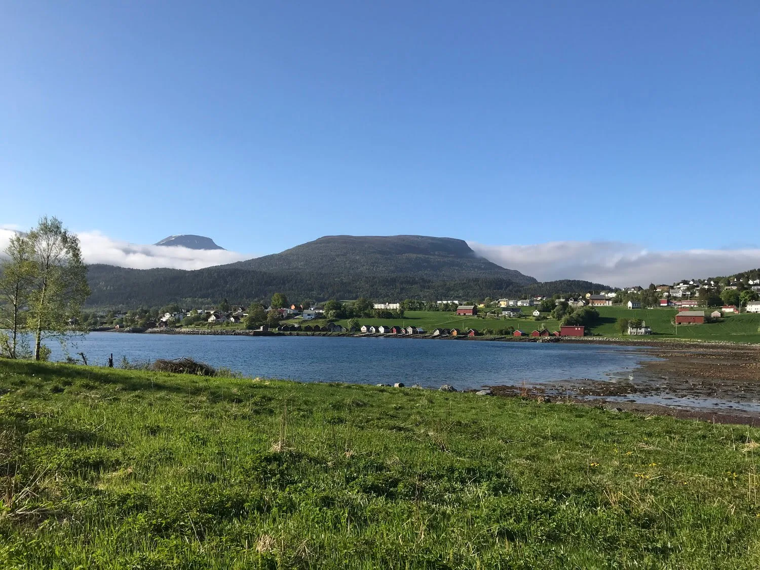 Along the shore